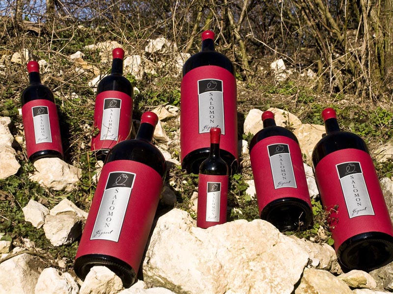 Salomon Gigant