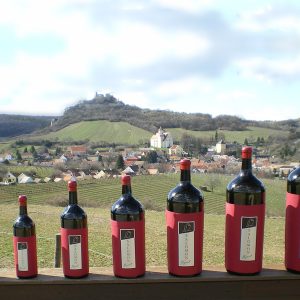 Salomon Gigant – unser Magnum-Sortiment